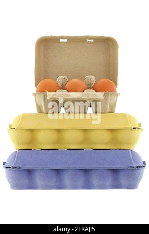 Paper pulp egg tray packages made of recycled paper in different sizes and colors full of fresh chicken eggs isolated on white Stock Photo