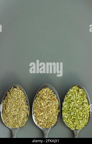 Three different green herbs on black spoons on gray background with copy space; cut out Stock Photo