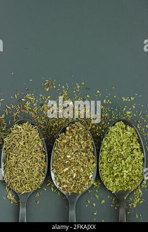 Three different green herbs on black spoons on gray background with copy space; cut out Stock Photo
