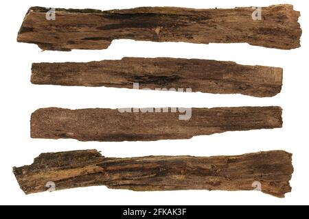 Collage set of dried piece of wood isolated on white background Stock Photo