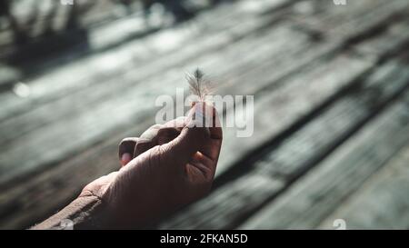Holding a small feather by a male hand, a great picture for creating memes and copy space for adding texts. Stock Photo