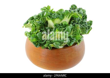 A wooden bowl full of fresh bok choy (Chinese cabbage) Stock Photo