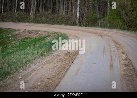 Dirty gravel forest pathway bends to the left. Tire and wheel prints on dirt road. Green grass growing in the ditch. Stock Photo