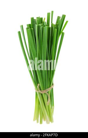 A bunch of fresh Chinese chives, isolated on white background Stock Photo