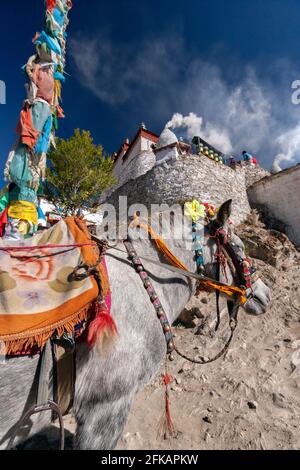 Yungbulakang Palace or Yumbu Lakhang, high on the Tibetan Plateau in the Himalayas in the Tibet Autonomous Region of China. Stock Photo