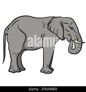 linear illustration of the elephant on the white background Stock Vector