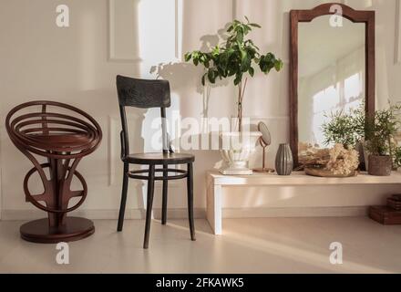 Chair and plants in white classic interior. Real photo Stock Photo