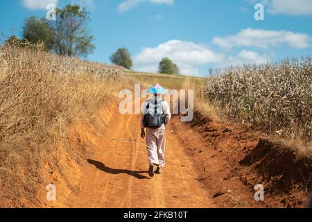 A local burmese man in a blue hat and traditional clothing walks on a dirt road between corn fields on a hike between Kalaw and Inle Lake, Shan state, Stock Photo