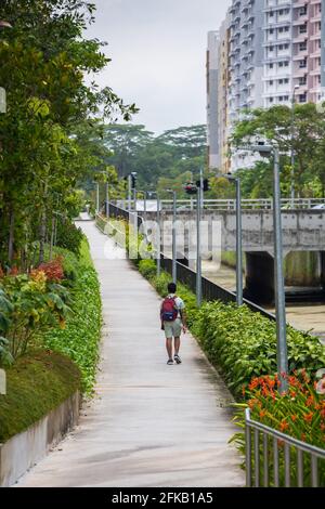 Vertical view of an Indian school boy, back view, he is using the greenery pathway to commute back home, zero net, no carbon. Singapore. Stock Photo