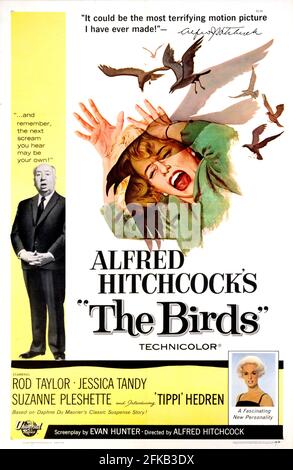 Alfred Hitchcock Movie ad / poster for classic 'The Birds'. 1963. Feat. Tippi Hedren, Rod Taylor, Jessica Tandy and Veronica Cartwright Stock Photo