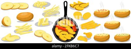 Illustration on theme beautiful big set sweet vegetable potato on black cast iron pan. Vegetable pattern consisting of collection sweet brown potato. Stock Vector