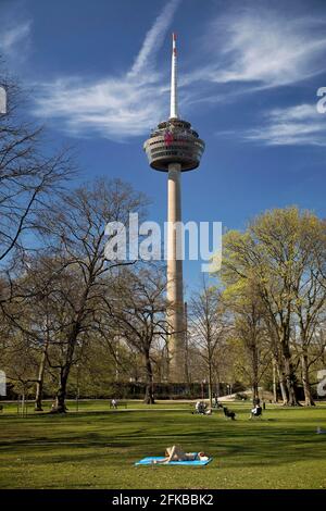 city park and Cologne telecommunications tower Colonius in spring, Germany, North Rhine-Westphalia, Cologne Stock Photo