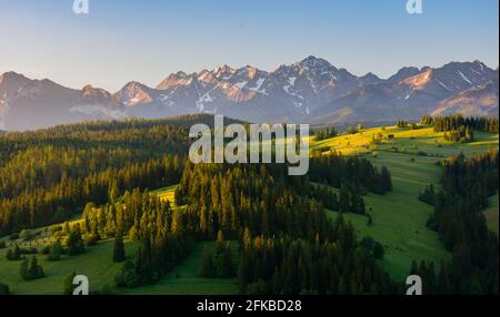 view of the High Tatras from Gliczarów Górny in summer Stock Photo