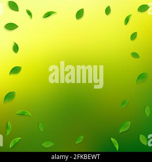 Falling green leaves. Fresh tea random leaves flying. Spring foliage dancing on yellow green background. Alluring summer overlay template. Delicate sp Stock Vector