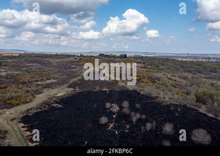 Drone view of recent arson attack at Waldridge Fell. Site of Special Scientific Interest in County Durham. Scorched black heather and gorse bushes aft Stock Photo