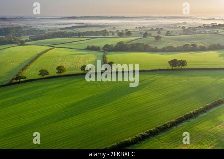 Aerial vista of rolling Devon countryside near Spreyton in autumn, Devon, England, United Kingdom, Europe Stock Photo