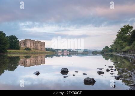 Carew Castle reflected in the mill pond at dawn, Pembrokeshire, Wales, United Kingdom, Europe Stock Photo