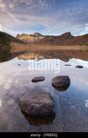 The Langdale Pikes mountains reflected in the mirror still water of Blea Tarn in autumn, Lake District National Park, UNESCO, Cumbria, England Stock Photo