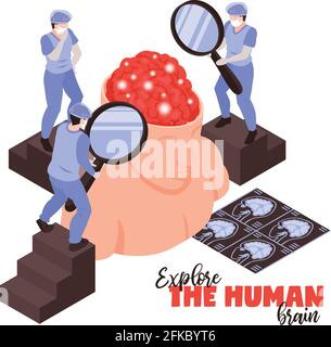 Neurologists with magnifying glasses research human brain anatomy functions diseases pathology treatments isometric symbolic composition vector illust Stock Vector