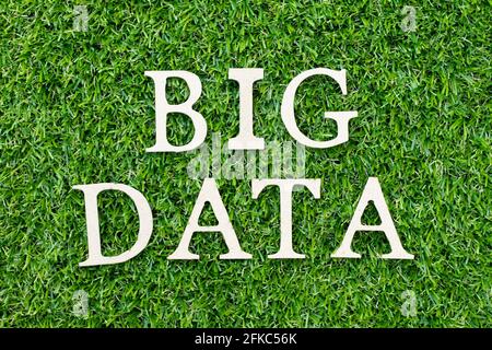 Wood alphabet letter in word big data on green grass background Stock Photo