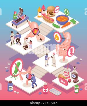 Isometric gastroenterology composition with stomach pain stomach treatment junk food and fast food medications Stock Vector