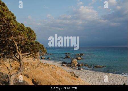 Beautiful sandy beach with translucent sea in sardinia, Italy. Stock Photo