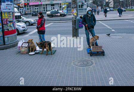 Dnepropetrovsk, Ukraine - 09.04.2021: Volunteers collect money for animal feed. Stock Photo