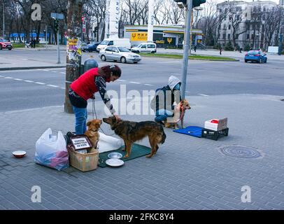 Dnepropetrovsk, Ukraine - 09.04.2021: Volunteers collect money for animal feed. Stock Photo