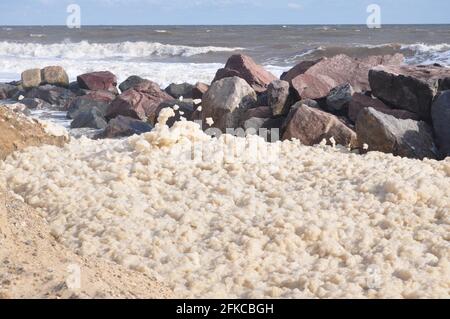 Sea foam building up behind rock armour at Happisburgh, north Norfolk England UK Stock Photo