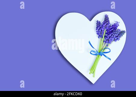 Fathers Day heart and grape hyacinth flowers on blue background with copy space Stock Photo