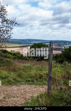 A crossing of the ways: footpaths marked by a wooden signpost on Bow Hill in Kingley Vale National Nature Reserve, West Sussex, England, UK Stock Photo