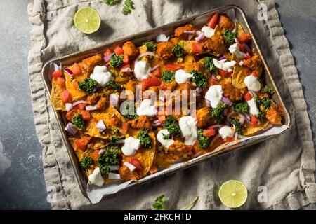 Homemade Indian Chicken Tikka Masala Nachos with Chutney and Corn Stock Photo