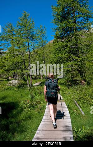 Hiking in Martello Valley (Martelltal), Bolzano, Trentino-Alto Adige, Italy Stock Photo