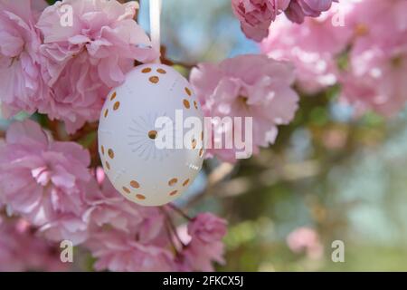 Decorative Easter egg hanging on flowering cherry tree with pink flowers. Easter background. Blossoms on a sunny spring day. Selective focus Stock Photo