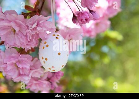 Decorative Easter egg hanging on flowering cherry tree with pink flowers. Easter background. Blossoms on a sunny spring day. Selective focus Stock Photo