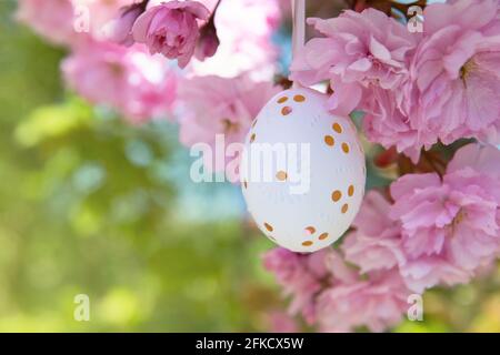 Decorative Easter egg hanging on flowering cherry tree with pink flowers. Easter background. Blossoms on a sunny spring day. Selective focus Stock Photo