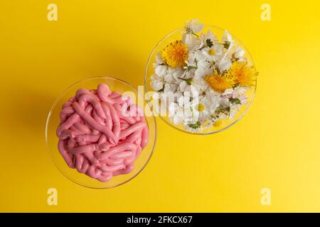 multicolored emulsions for cosmetic creams in glass on rose background, close up Stock Photo