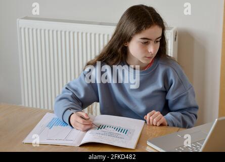 Girl using laptop for homework Stock Photo