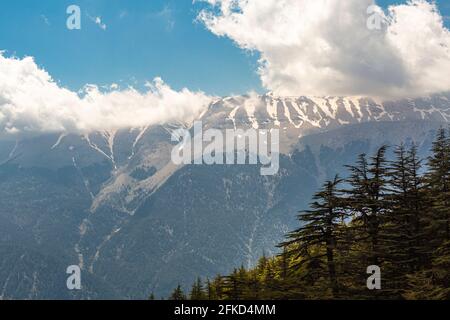 View of cedar forests and Toros mountains in Antalya - Turkey Stock Photo