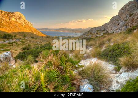 A rocky river with trees on the side of a mountain Stock Photo