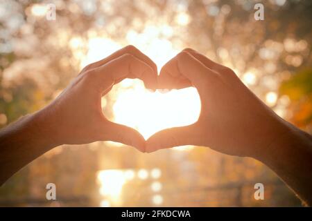 Hands making heart shape Stock Photo