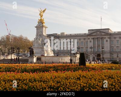 London, Greater London, England - Apr 24 2021:  Flowers in front of Buckingham Palace Stock Photo
