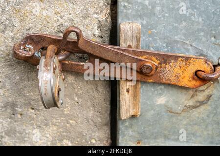 The padlock is hanging on the door. A large barn lock on a rusty door hinge. Stock Photo