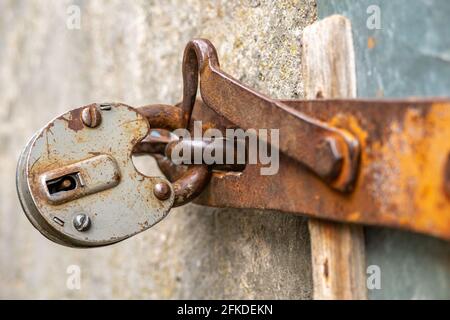 The padlock is hanging on the door. A large barn lock on a rusty door hinge. Stock Photo