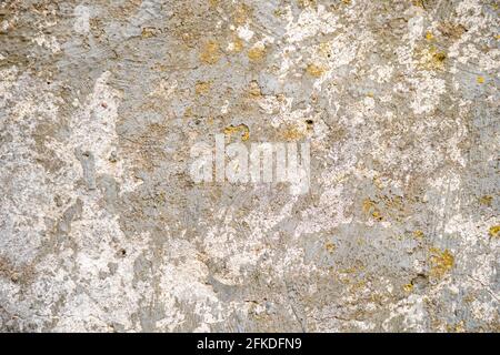 Concrete wall covered with moss, background for designer. Rough stone texture. Stock Photo