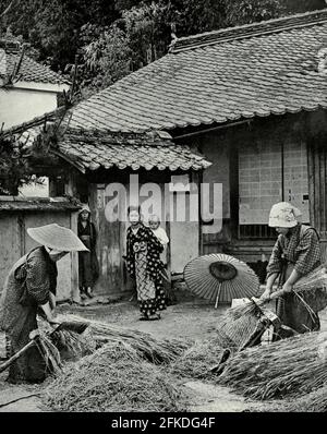 Peasant Woman Heading Barley in Japan, circa 1900 Stock Photo