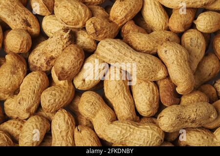 Close-up view of peanuts. Stock Photo
