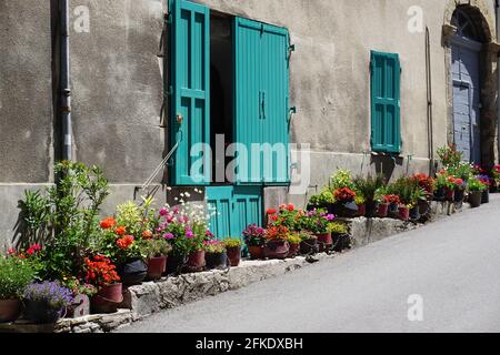 old stone facade with blue shutters and colorful flower pots in the street Stock Photo
