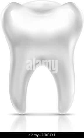 Realistic 3D tooth isolated on transparent background Stock Vector ...
