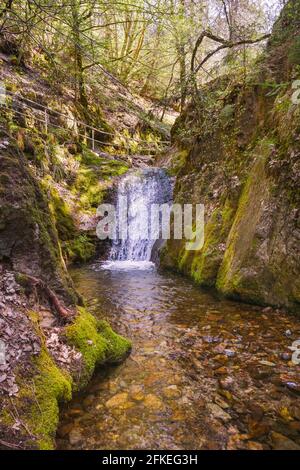 the edelfrauengrab waterfalls near ottenhfen in the black forest ortenau district baden wuerttemberg germany europe 2fkeg3h